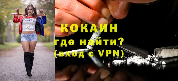 дживик Абаза