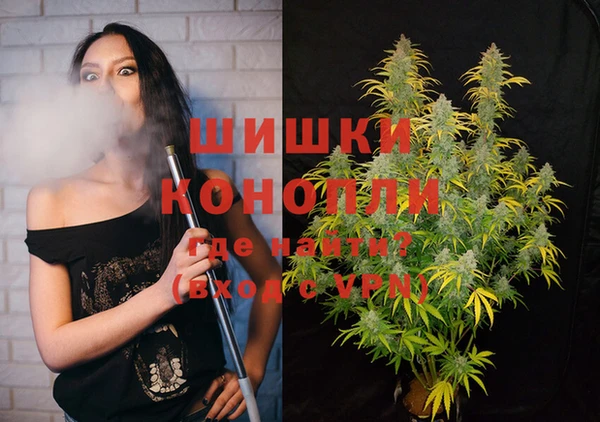 дживик Абаза