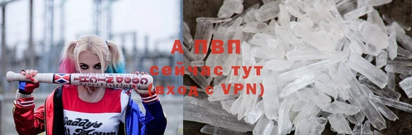 дживик Абаза