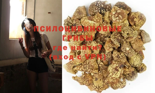 бошки Алексеевка