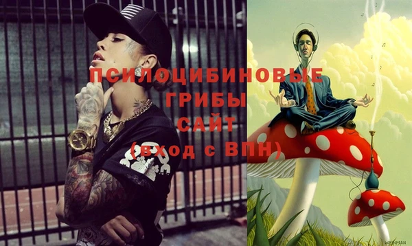 ECSTASY Протвино