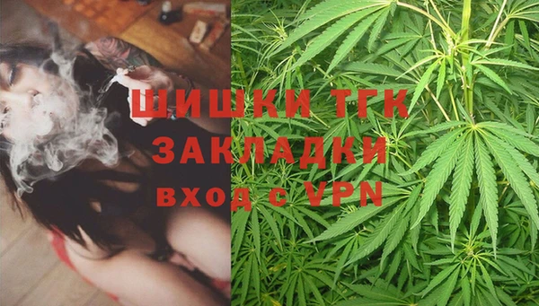 дживик Абаза