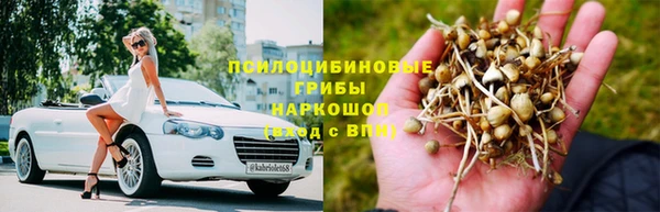 дживик Абаза